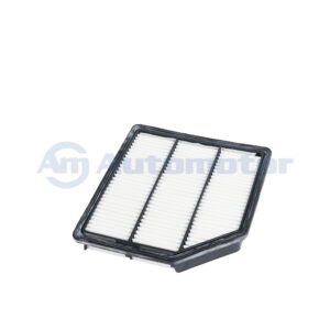 Filtro Aire Motor