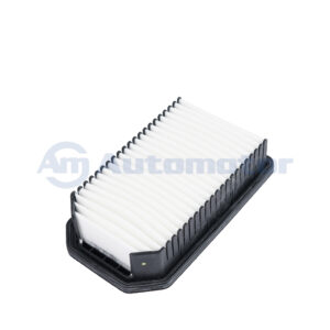 Filtro Aire Motor