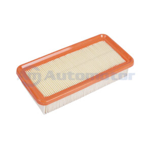 Filtro Aire Motor