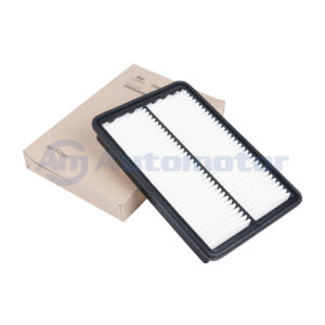 Filtro Aire Motor