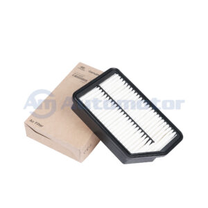 Filtro Aire Motor