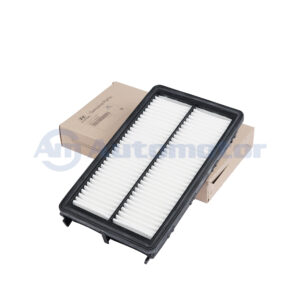 Filtro Aire Motor - Santa Fe 18