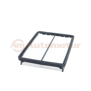 Filtro Aire Motor