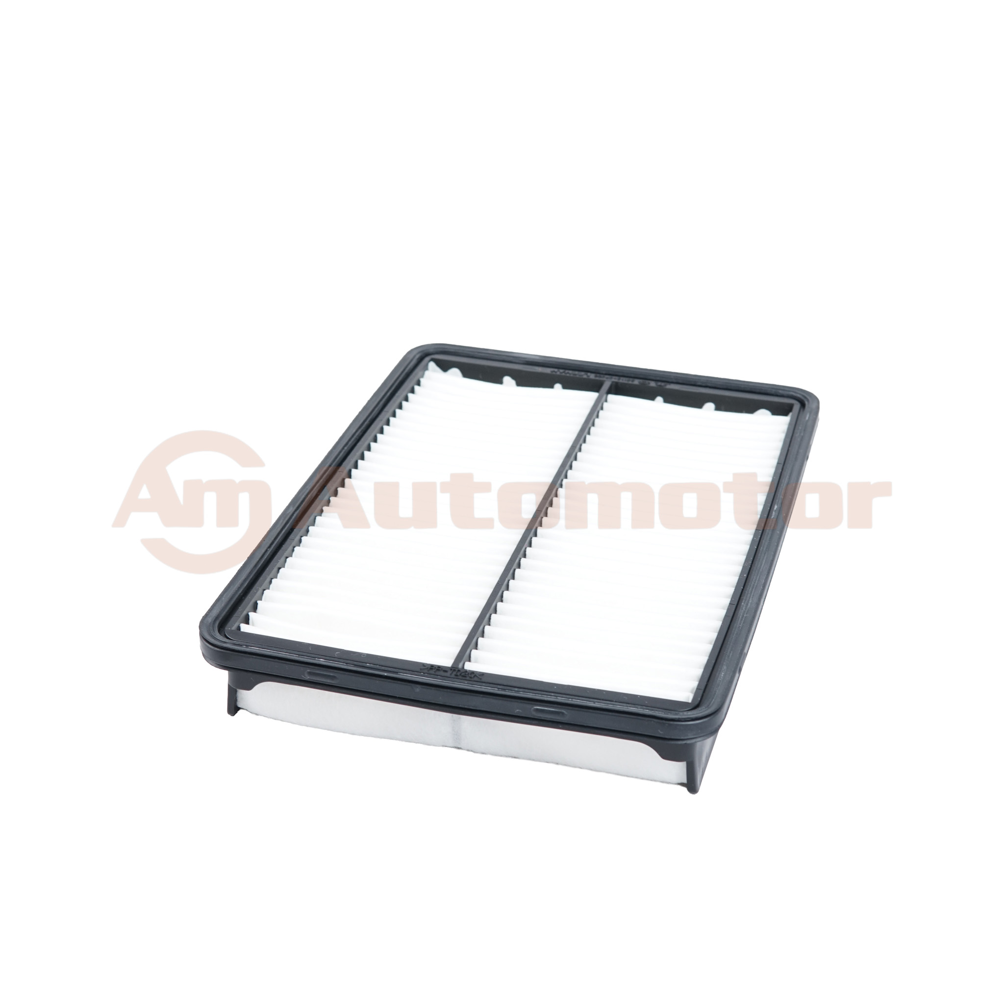 Filtro Aire Motor